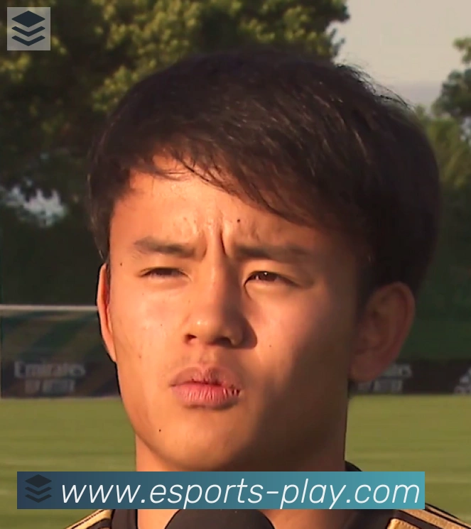 维尼修斯
